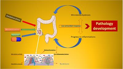 Polyphenolic Nutraceuticals to Combat Oxidative Stress Through Microbiota Modulation